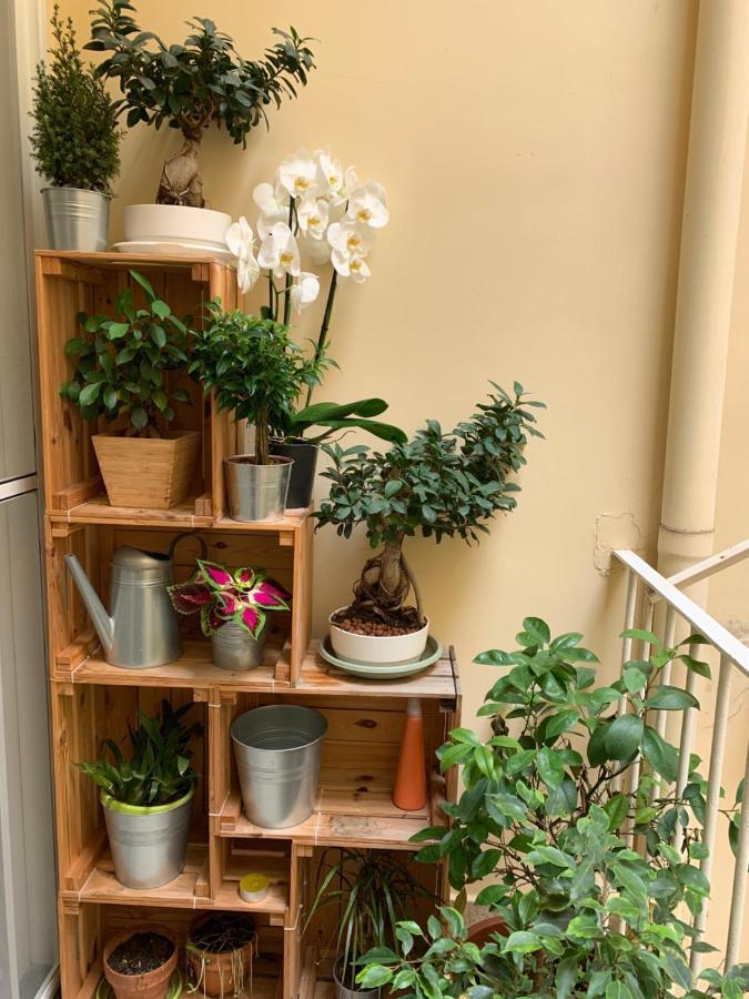 טורה דל גרקו Raroom Boutique Home מראה חיצוני תמונה